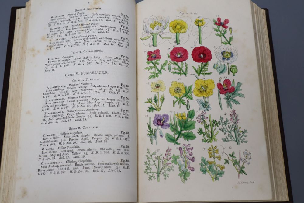 British Wild Flowers, illustrated by John E. Sowerby, 1860, one vol.